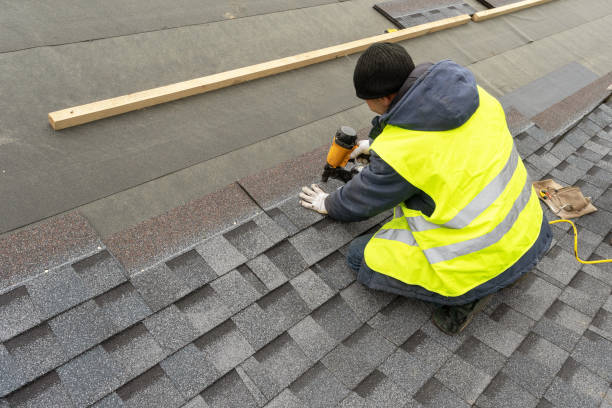 Best Roof Moss and Algae Removal  in Quinnesec, MI